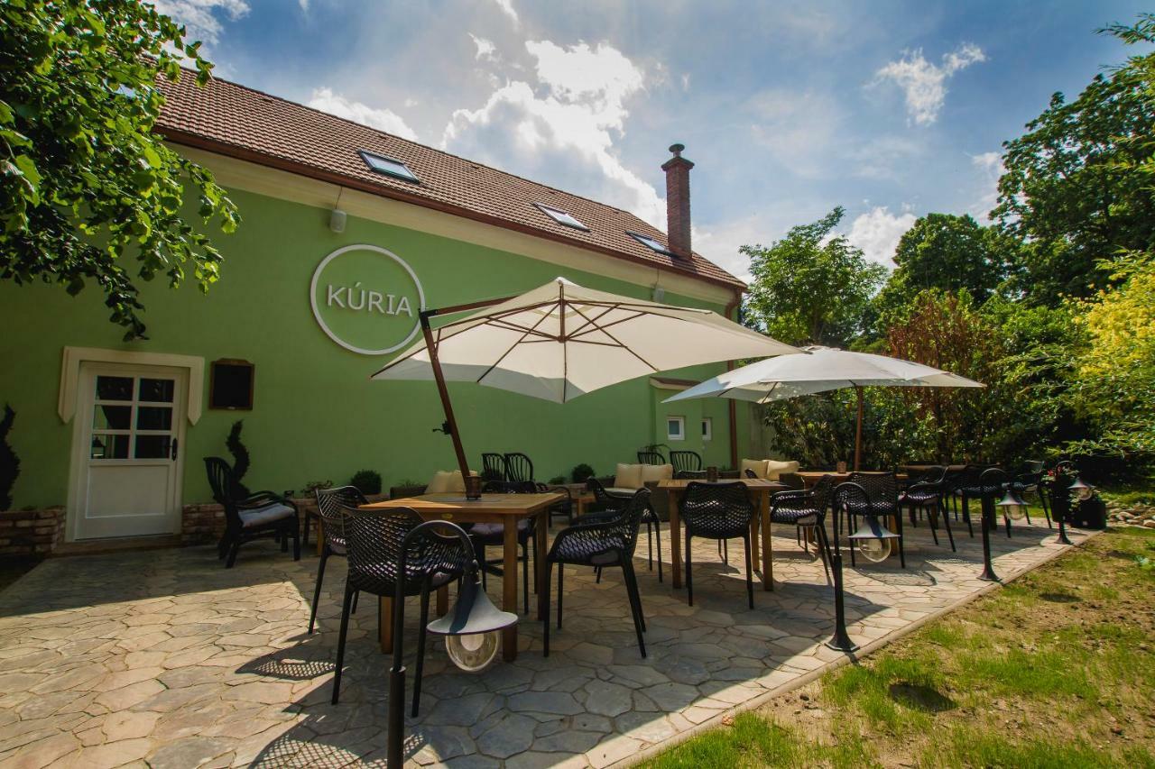 Penzion Kuria Nové Mesto nad Váhom 外观 照片